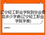辽宁轻工职业学院到毕业要花多少学费(辽宁轻工职业学院学费)
