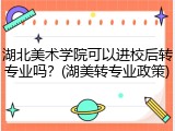 湖北美术学院可以进校后转专业吗？(湖美转专业政策)
