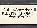 山东第一医科大学什么专业就业比较好，原因是啥(山一大就业优势专业)
