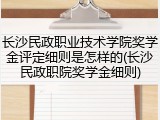 长沙民政职业技术学院奖学金评定细则是怎样的(长沙民政职院奖学金细则)
