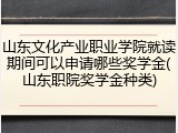 山东文化产业职业学院就读期间可以申请哪些奖学金(山东职院奖学金种类)