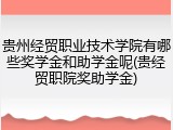 贵州经贸职业技术学院有哪些奖学金和助学金呢(贵经贸职院奖助学金)