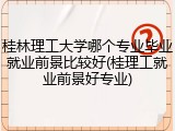 桂林理工大学哪个专业毕业就业前景比较好(桂理工就业前景好专业)