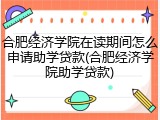 合肥经济学院在读期间怎么申请助学贷款(合肥经济学院助学贷款)