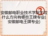 安徽邮电职业技术学院主攻什么方向有哪些王牌专业(安徽邮电王牌专业)