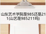 山东艺术学院是985还是211(山艺是985211吗)