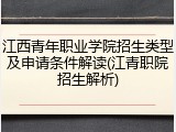 江西青年职业学院招生类型及申请条件解读(江青职院招生解析)