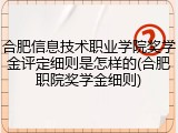 合肥信息技术职业学院奖学金评定细则是怎样的(合肥职院奖学金细则)