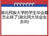 湖北民族大学的学生毕业都怎么样了(湖北民大毕业生去向)