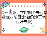 沙洲职业工学院哪个专业毕业就业前景比较好(沙工就业好专业)