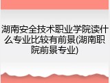 湖南安全技术职业学院读什么专业比较有前景(湖南职院前景专业)