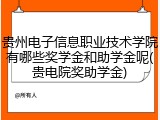 贵州电子信息职业技术学院有哪些奖学金和助学金呢(贵电院奖助学金)