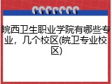 皖西卫生职业学院有哪些专业，几个校区(皖卫专业校区)