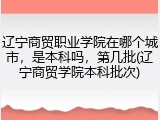 辽宁商贸职业学院在哪个城市，是本科吗，第几批(辽宁商贸学院本科批次)