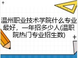 温州职业技术学院什么专业最好，一年招多少人(温职院热门专业招生数)