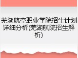 芜湖航空职业学院招生计划详细分析(芜湖航院招生解析)