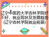 辽宁中医药大学杏林学院好不好，就业现状及发展趋势(辽宁杏林学院就业前景)
