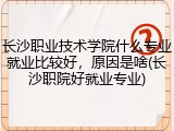 长沙职业技术学院什么专业就业比较好，原因是啥(长沙职院好就业专业)