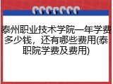泰州职业技术学院一年学费多少钱，还有哪些费用(泰职院学费及费用)