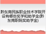 黔东南民族职业技术学院开设有哪些奖学和助学金(黔东南职院奖助学金)