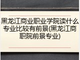 黑龙江商业职业学院读什么专业比较有前景(黑龙江商职院前景专业)