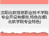 沈阳北软信息职业技术学院专业开设有哪些,特色在哪(北软学院专业特色)