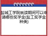 盐城工学院就读期间可以申请哪些奖学金(盐工奖学金种类)