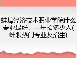 蚌埠经济技术职业学院什么专业最好，一年招多少人(蚌职热门专业及招生)