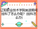 辽阳职业技术学院就读期间挂科了怎么办呢？(挂科怎么办)