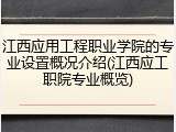江西应用工程职业学院的专业设置概况介绍(江西应工职院专业概览)