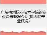 广东梅州职业技术学院的专业设置概况介绍(梅职院专业概况)