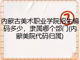 内蒙古美术职业学院招生编码多少，隶属哪个部门(内蒙美院代码归属)