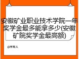 安徽矿业职业技术学院一年奖学金最多能拿多少(安徽矿院奖学金最高额)