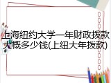 上海纽约大学一年财政拨款大概多少钱(上纽大年拨款)