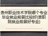 贵州职业技术学院哪个专业毕业就业前景比较好(贵职院就业前景好专业)