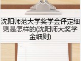 沈阳师范大学奖学金评定细则是怎样的(沈阳师大奖学金细则)