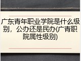 广东青年职业学院是什么级别，公办还是民办(广青职院属性级别)