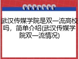 武汉传媒学院是双一流高校吗，简单介绍(武汉传媒学院双一流情况)