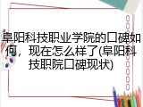 阜阳科技职业学院的口碑如何，现在怎么样了(阜阳科技职院口碑现状)