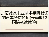 云南能源职业技术学院就读的真实感觉如何(云南能源职院就读体验)