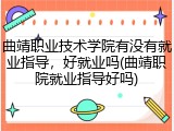 曲靖职业技术学院有没有就业指导，好就业吗(曲靖职院就业指导好吗)