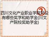 四川文化产业职业学院开设有哪些奖学和助学金(川文产院校奖助学金)