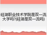 硅湖职业技术学院是双一流大学吗?(硅湖是双一流吗)