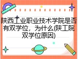 陕西工业职业技术学院是否有双学位，为什么(陕工院双学位原因)
