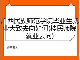 广西民族师范学院毕业生就业大致去向如何(桂民师院就业去向)