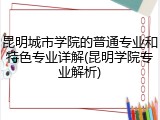 昆明城市学院的普通专业和特色专业详解(昆明学院专业解析)