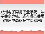 郑州电子商务职业学院一年学费多少钱，还有哪些费用(郑州电商职院学费费用)