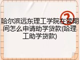 哈尔滨远东理工学院在读期间怎么申请助学贷款(哈理工助学贷款)