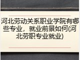 河北劳动关系职业学院有哪些专业，就业前景如何(河北劳职专业就业)