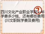 四川文化产业职业学院一年学费多少钱，还有哪些费用(川文职院学费及费用)